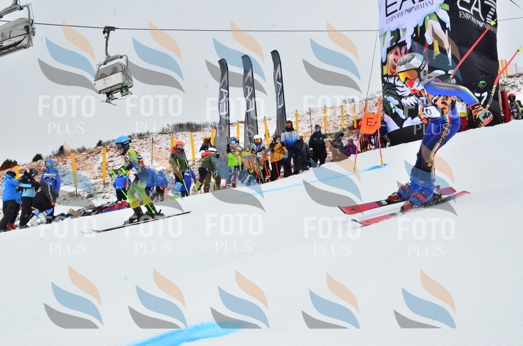 _ELE3433 | holidayphoto