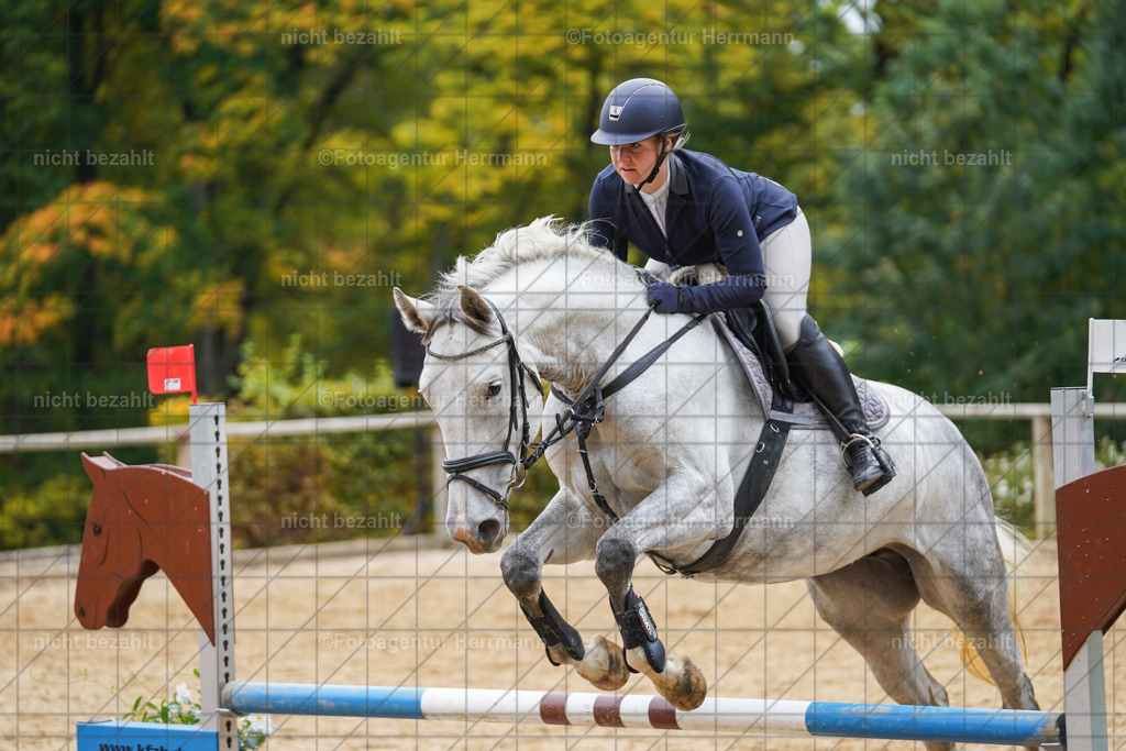 20221009-FAH08782 | Diessen am Ammersee, 2022, Dressur- und Springturnier, Reitsportbilder, Turnierfotografen Bayern, Pferdefotografen, Fotoagentur Herrmann, Turnierbilder