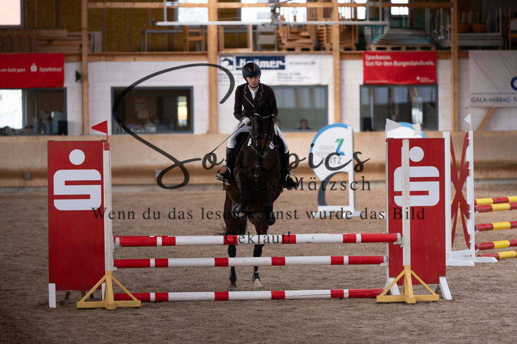 A7507454 | Pferdefotograf