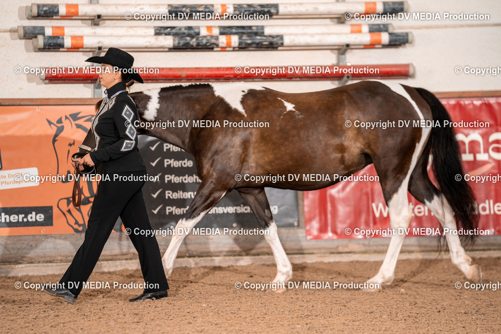 LM Heiligenwald Tag 1-16 | dv-media-shop - Realisiert mit Pictrs.com