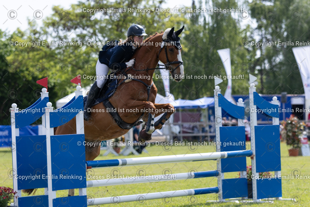 CL5A1811 | Emilia Reinking Fotografie - Realisiert mit Pictrs.com