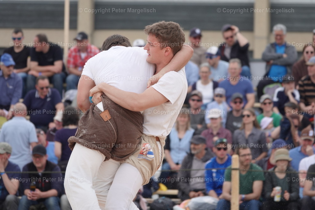 DSC03657 | Schwingen - Realisiert mit Pictrs.com