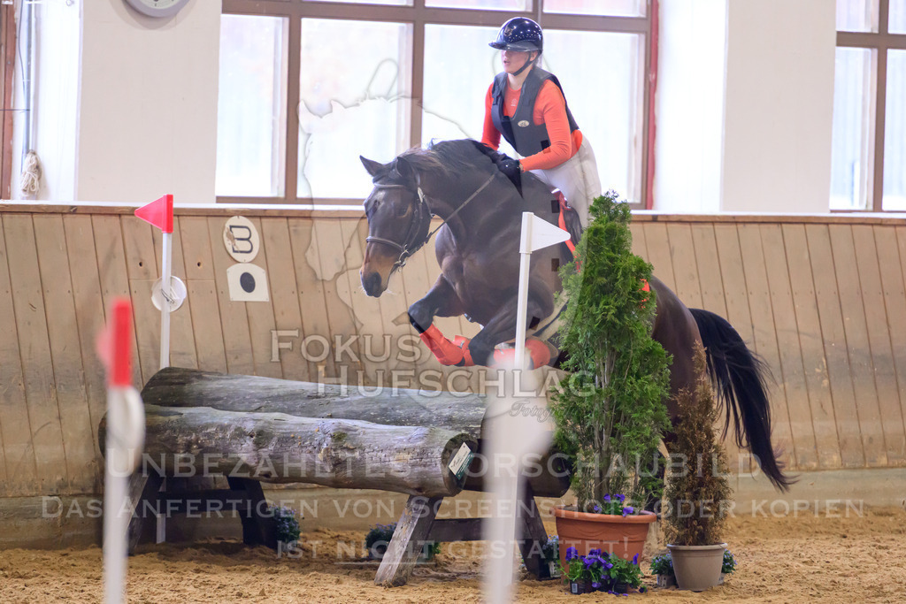 29032026-Schwaiganger-Prfg03-1-1417 | Fokus Hufschlag Fotografie - Realisiert mit Pictrs.com