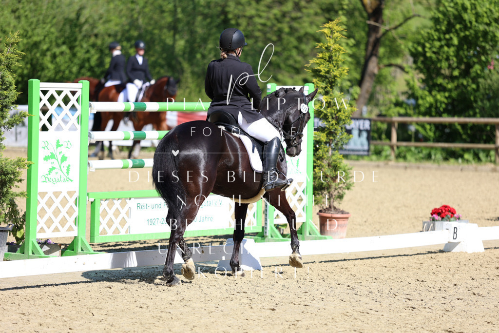 IMGT0529 | pl-fotografie