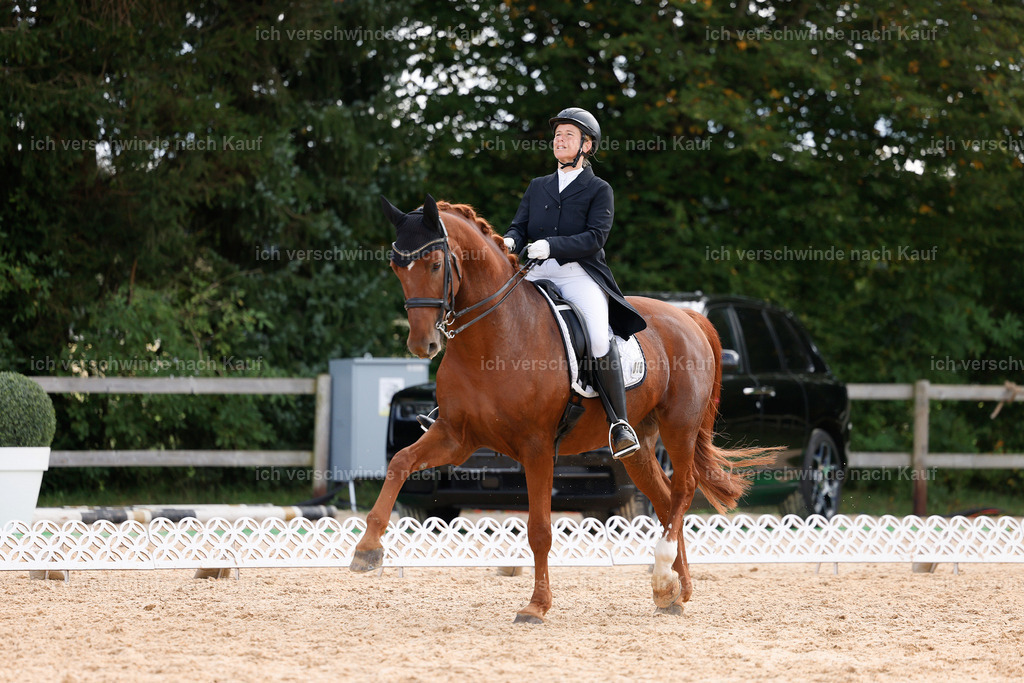 09_2-090-DRESSUR  S_  -StoibPH-5840 | working equitationturnier fotograf videograf stoibphotography marixx film working equitation deutschland reitsport turnierfotografie eventfotografie equestrian events