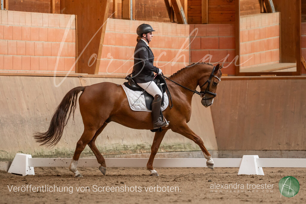 250405_Barop_00_067 | farbklaex.com