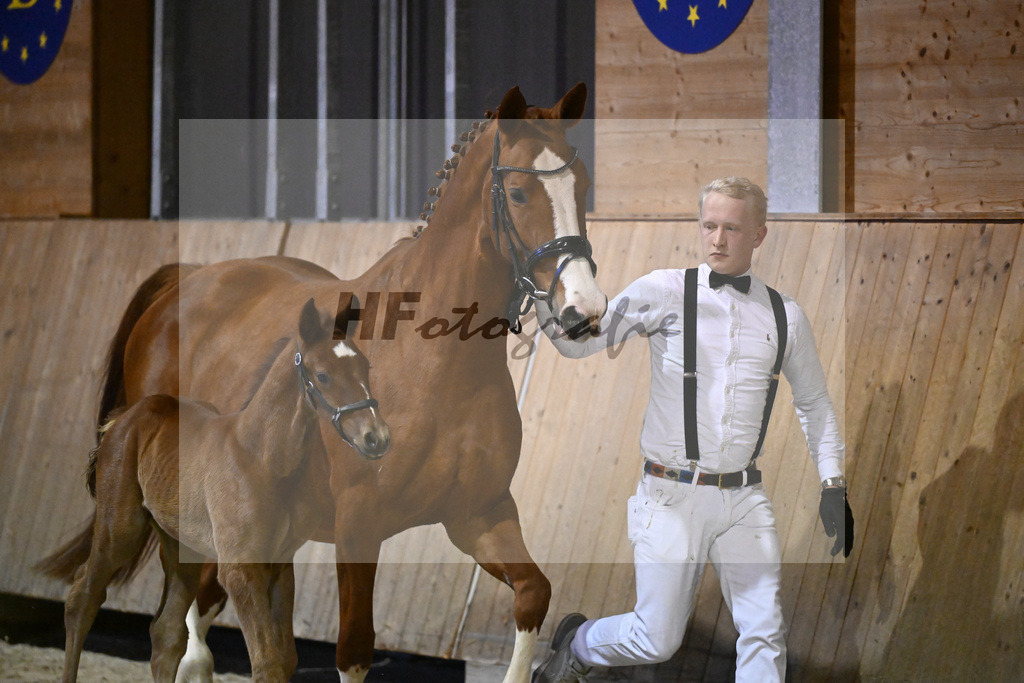 DSP Cashmoaker_Fohlen_14261239 | hf-fotografie - Realisiert mit Pictrs.com