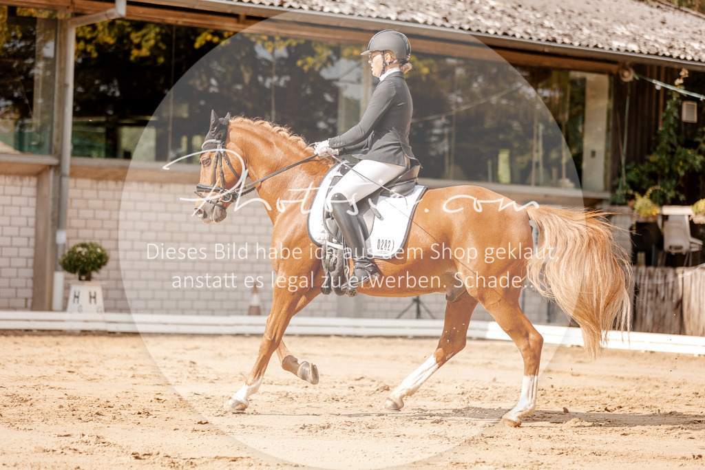 3I6A3549 | Stimmungsvolle Portraits und Reitsportfotografie im Ruhrgebiet und im Münsterland.

Pferdefotografie, Hundefotografie, Tierfotografie, Reportagen, Portraits von Tier und Mensch, Turnierfotografie in Bochum, Recklinghausen, Marl, Haltern am See, Dülmen.. - Realisiert mit Pictrs.com