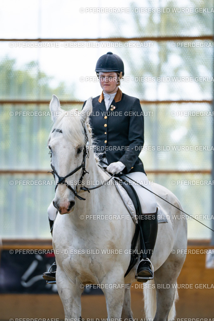 DSC05628 | Pferdegrafie