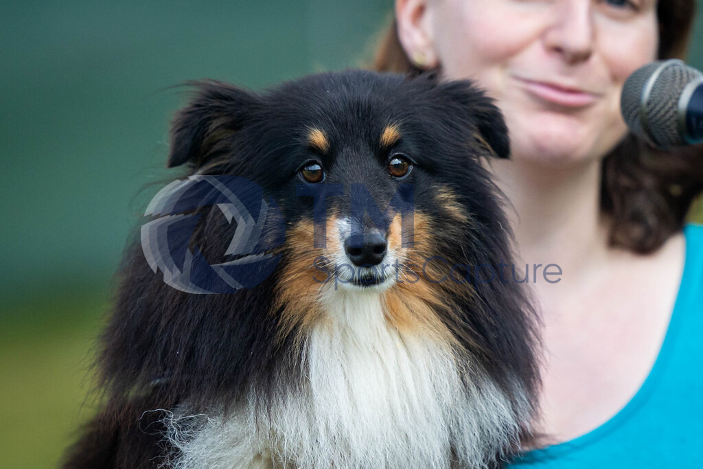 TP-20240815-0046 | Copyright: Trainproduction / Matthias Trinkl