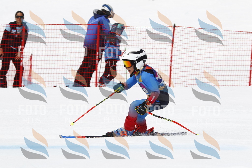 _U3G7395 | holidayphoto