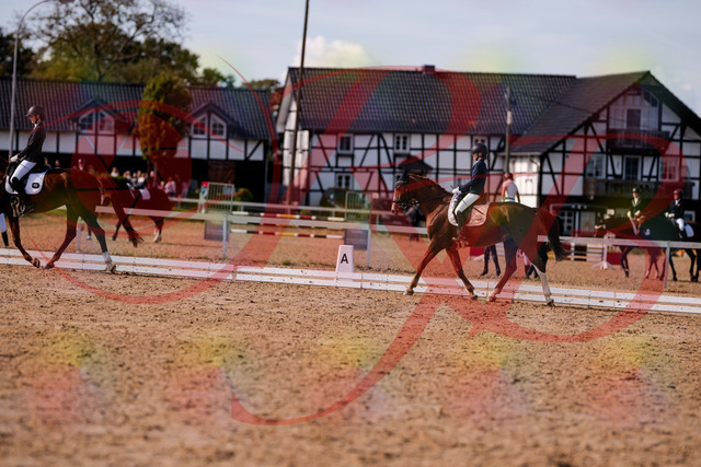 2026_10_03_Siefer-Hof_133145_Z81_86380779 | Professionelle Reitsport-, Turnier- und Eventfotografie von Robert Broda. Galerien mit ausgewählten und bearbeiteten Bildern direkt online ansehen und bestellen.