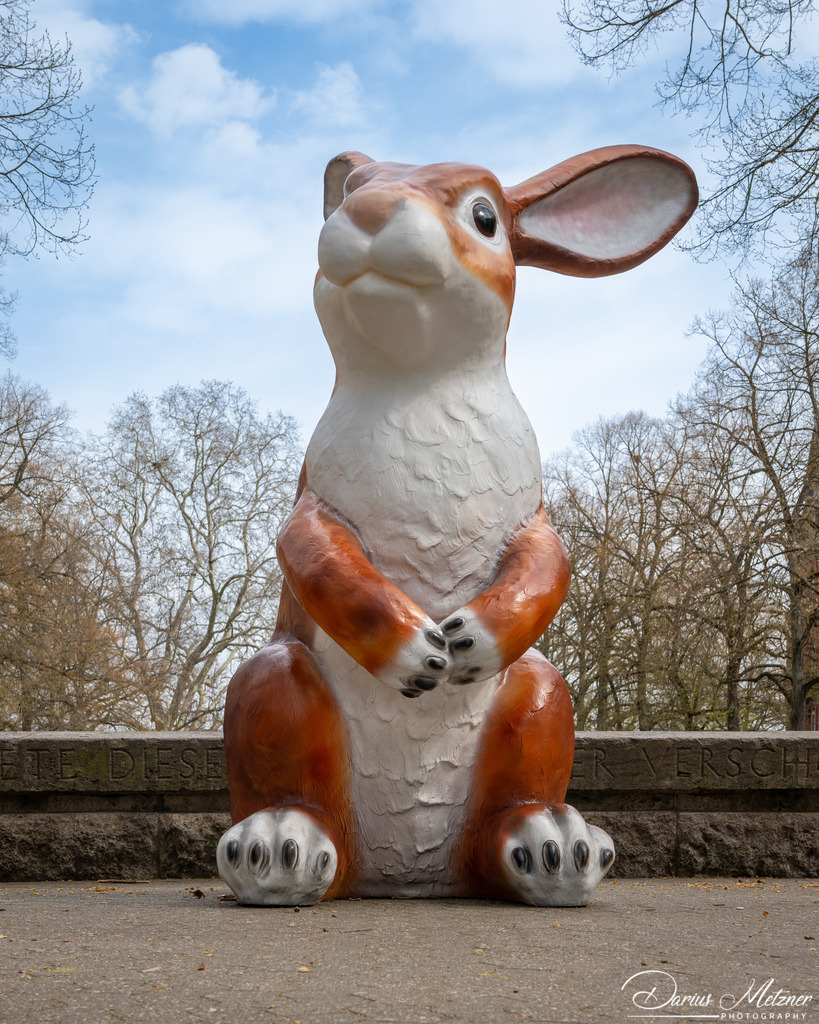 DSC_1899 2 | Fotografien, Fotos und Bilder aus Mainz, Frankfurt, Wiesbaden und anderen Orten auf der Welt - Fotografiert von Darius Metzner