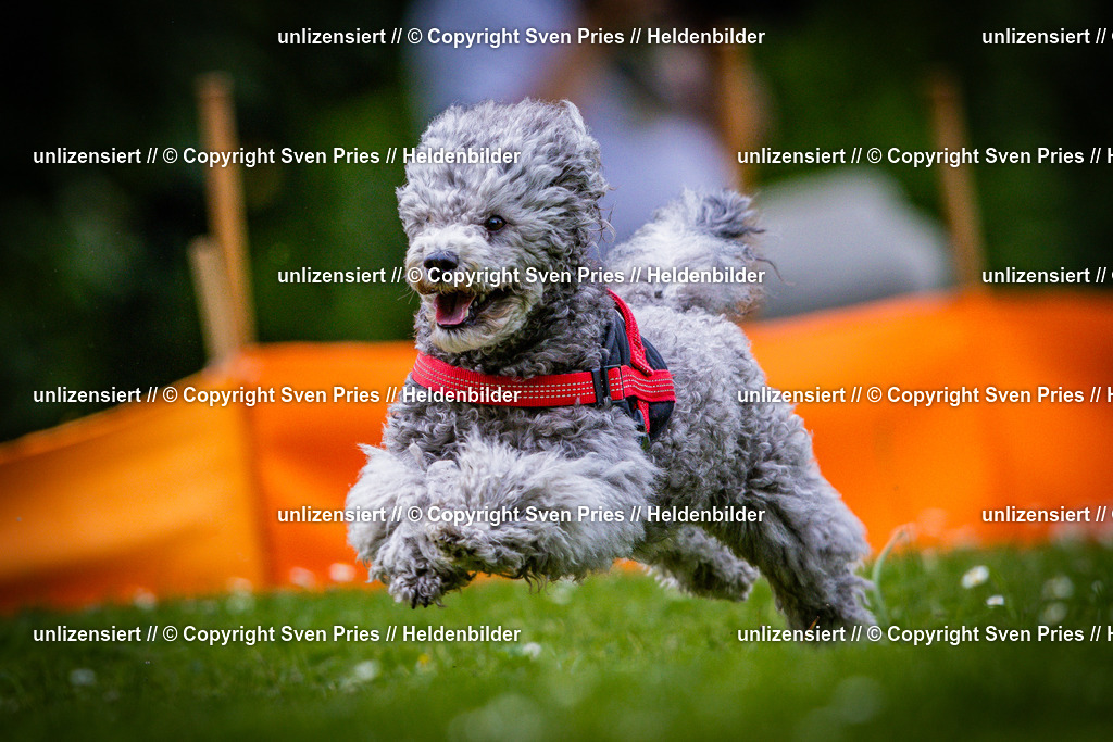 Sven Pries | 2025-05-29 - Pudelrennen KA-Durlach - Realisiert mit Pictrs.com