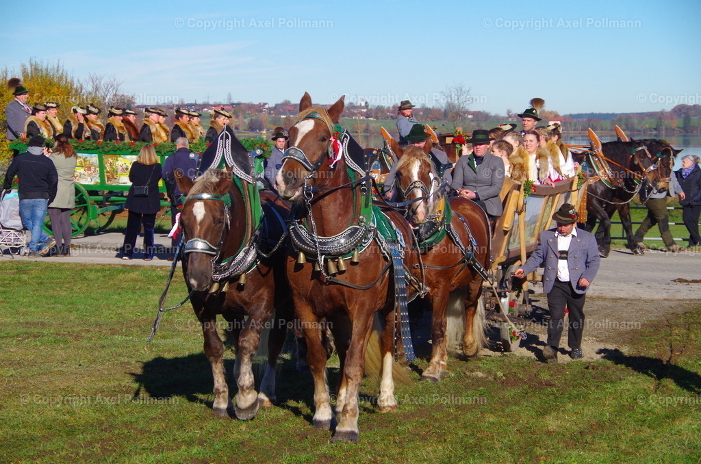 IMGP7536 | fotografiert von Axel PollmannLeonhardi Wallfahrt Benediktbeuern und Murnau, Fronleichnam, Fasching, Landschaft im Loisachtal und Benediktbeuern  - Realisiert mit Pictrs.com