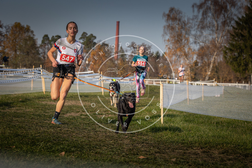 CaniXpix_0L8A9335 | Hundefotografie, Tierfotograf, Pfotenfotografie, Fotoshooting Hund, Hunde Portrait, Hundesport, Hundeportraits, Heideshooting, Hunde, Sportfotograf, Hundefotograf, Turnierhundsport, THS,  - Realisiert mit Pictrs.com