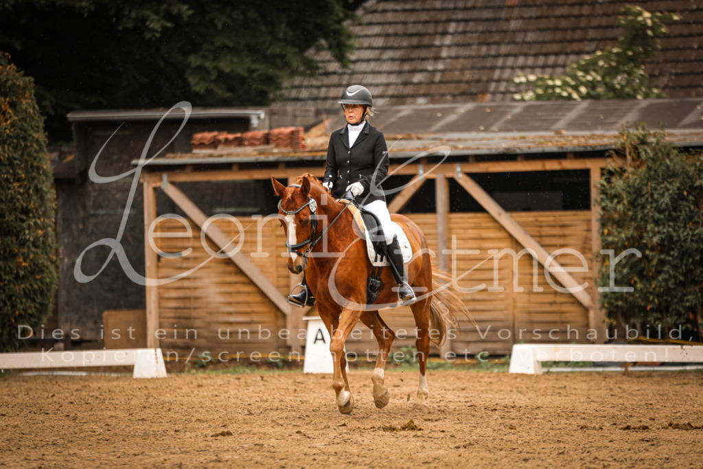 DoDrA00286 | Leoni Ertmer Photography - Realisiert mit Pictrs.com