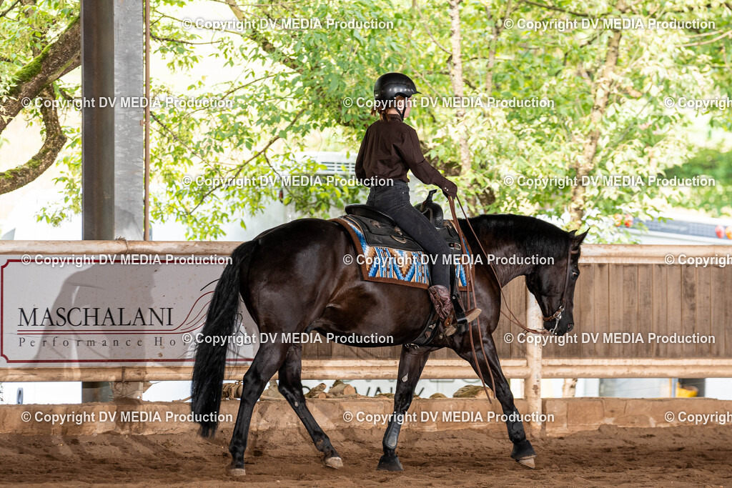 Erbach Tag 1-903 | dv-media-shop - Realisiert mit Pictrs.com