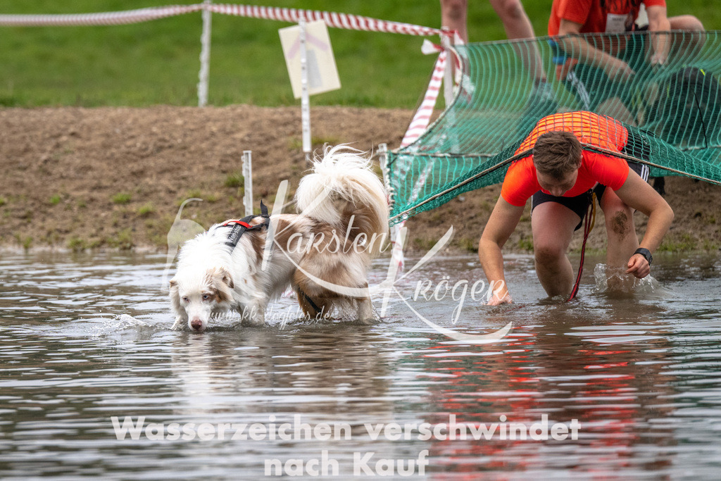 0827_ZZ91415 | kk-dogfotos