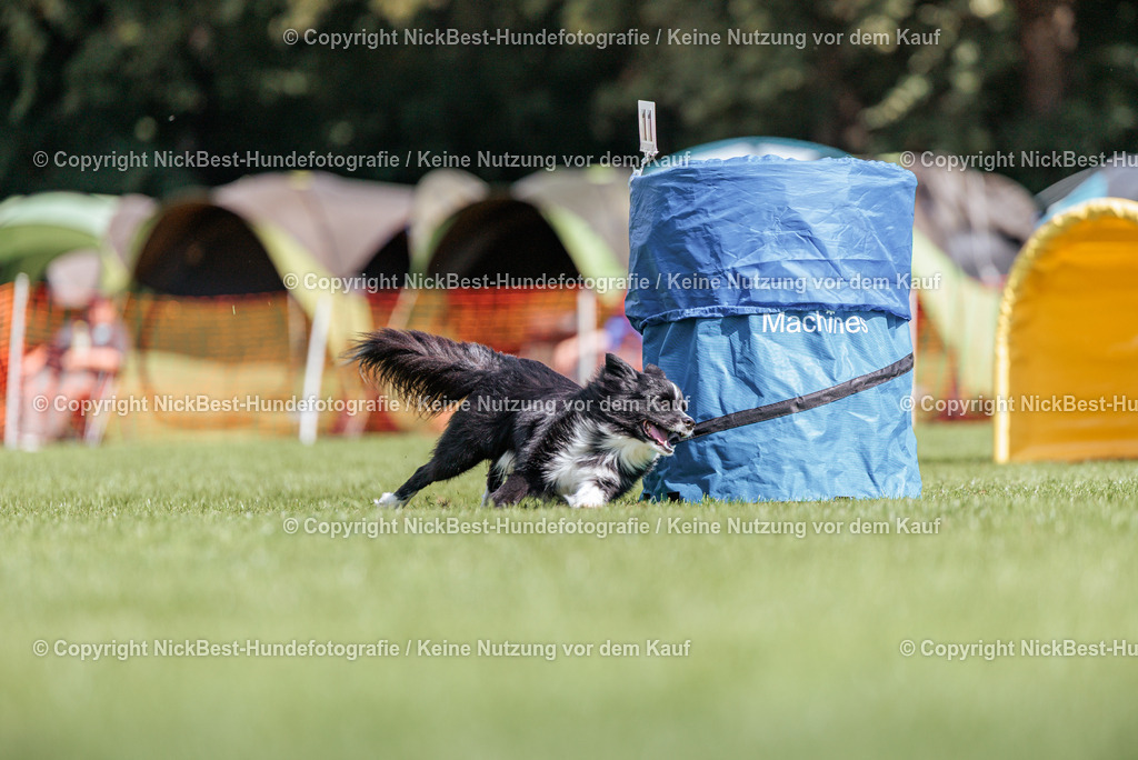 BSP Hoopers-H1-2026-Nickbest-Hundefotografie-TuS Komet Arsten e.V.-8023 | Dein Hund! Dein Moment! Deine Erinnerungen! Hundefotografie in Bremen Blumenthal. Ich fange die besonderen Momente deines Vierbeiners ein – ob Indoor mit Blitzanlage oder in der freien Natur. Sicher dir dein Moment und dein Termin für eure Erinnerungen.