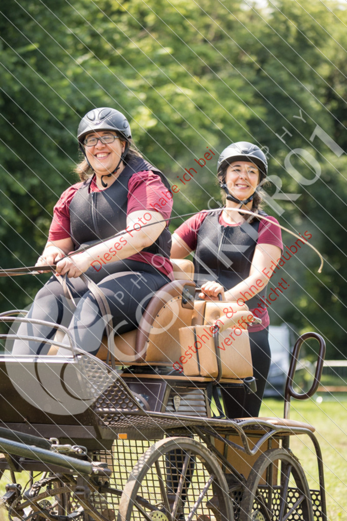 IMG_8154 | Sport-, Event- und Tierfotos in Profiqualität. Einfach auswählen, bestellen und herunterladen. Dein Moment – perfekt festgehalten.