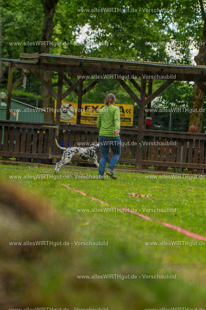 @allesWIRTHgut_Tierfotografie - www.allesWIRTHgut.de - 135333-7R500143 | Professionelle Tierfotografie in Mönchengladbach von Daniel Wirth (allesWIRTHgut). Liebevolle & natürliche Bilder von Hunden & Katzen für unvergessliche Erinnerungen.