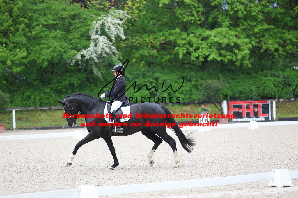 A40A7098 | lmwpictures - Realisiert mit Pictrs.com