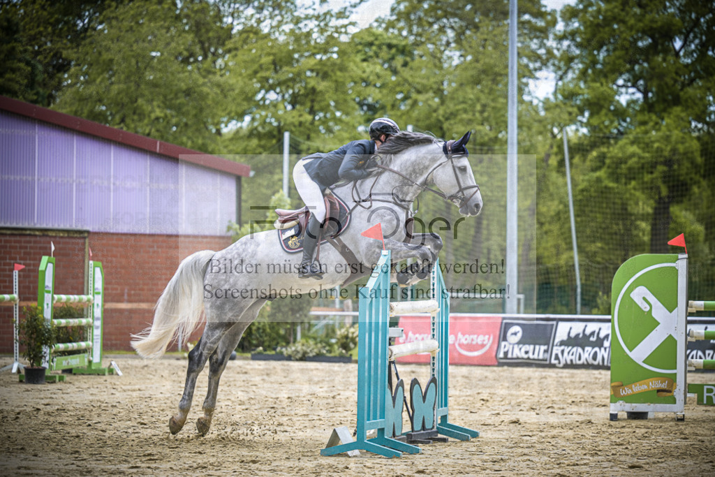 DOS_0814 | Entdecke hochwertige Reitturnierfotos von Foto Oger. Professionell, emotional und authentisch – jetzt Lieblingsmomente im Shop bestellen.Deutschlandweite Turnierfotografie. - Realisiert mit Pictrs.com