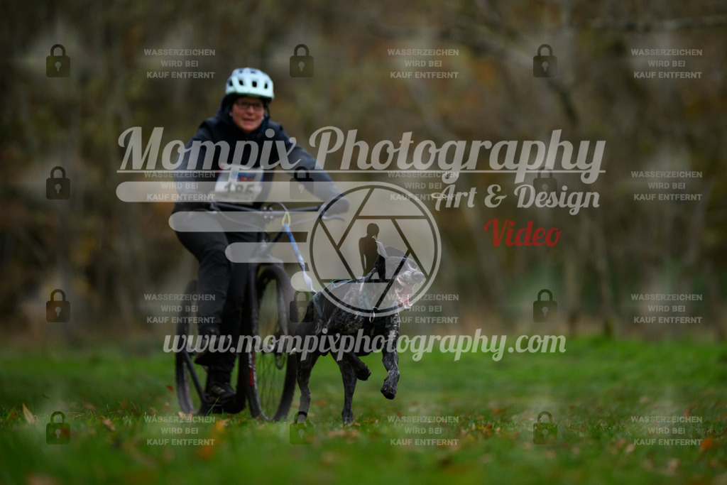 MompixPhotography_Bischwiller24_SA_DS1-32 | PayLife