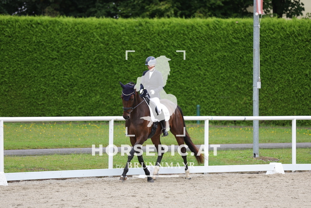0P6A8768 | Willkommen bei Brunnmayr - Design & Fotografie – Ihrem Spezialisten für Reitturniere und Pferdeveranstaltungen in Oberösterreich, Salzburg und Bayern! Seit über 17 Jahren sind wir leidenschaftlich dabei.