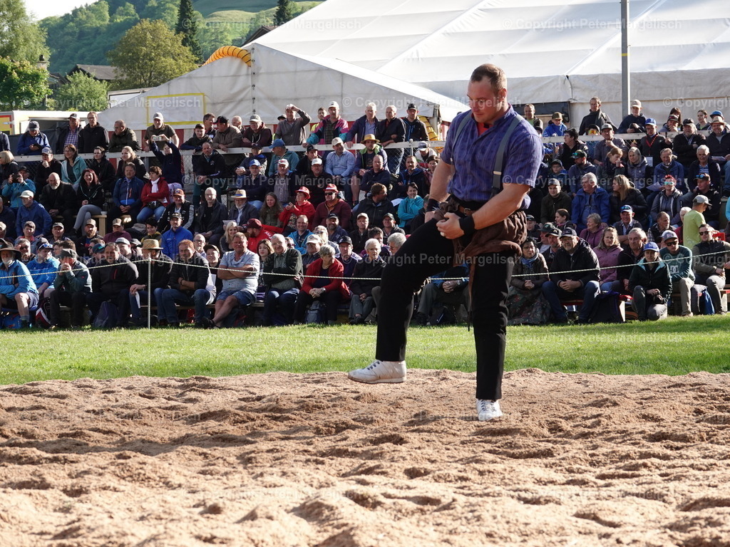 DSC07060 | Schwingen - Realisiert mit Pictrs.com
