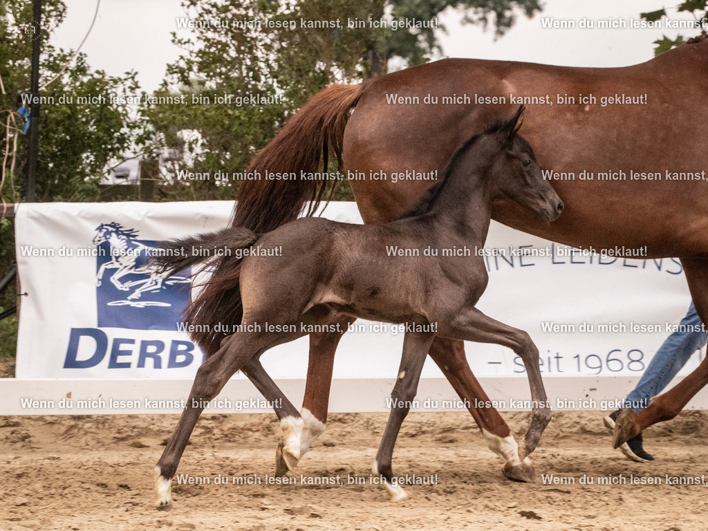 A10I5119 | photographylinaismer - Realisiert mit Pictrs.com