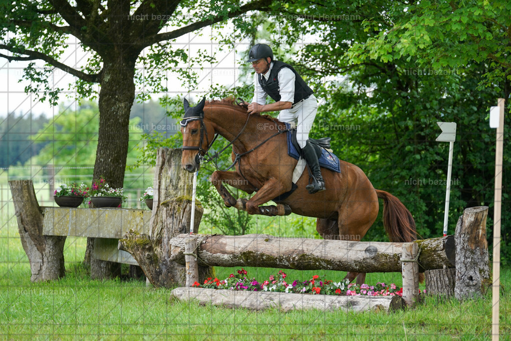 20240518-FAH03954 | Turnierbilder von Niederseon, Turnierfotografen Bayern, Fotoagentur Herrmann, Geländebilder, Reitsportfotografie