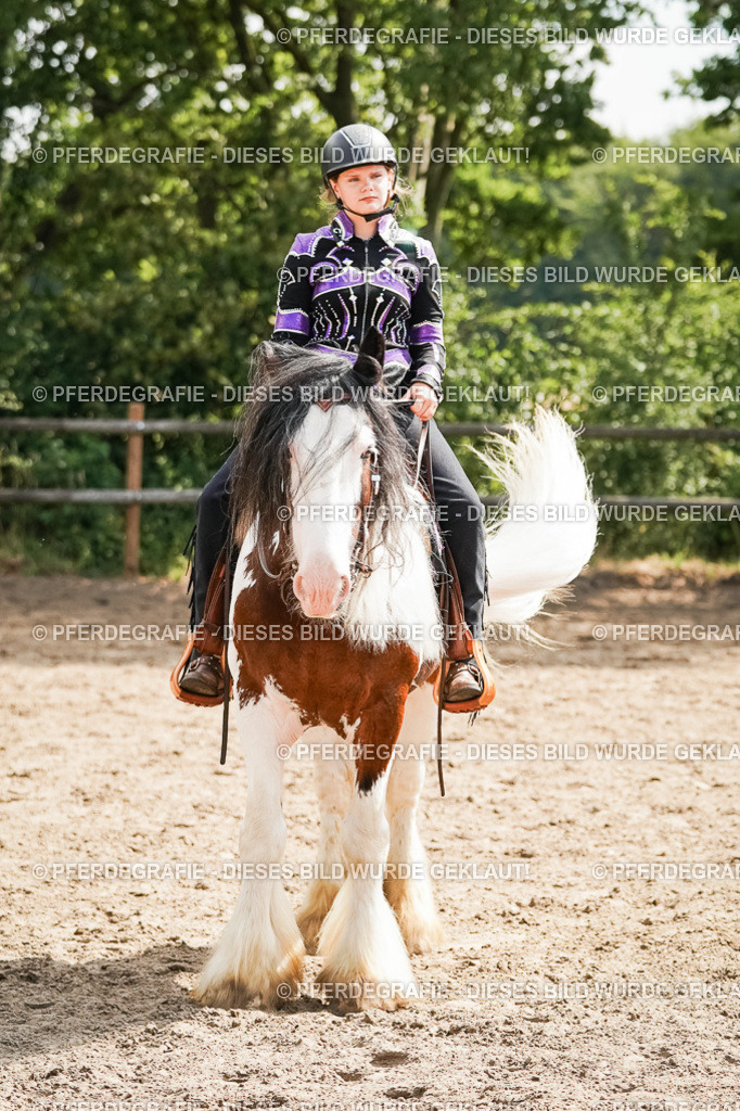 DSC05071 | Pferdegrafie