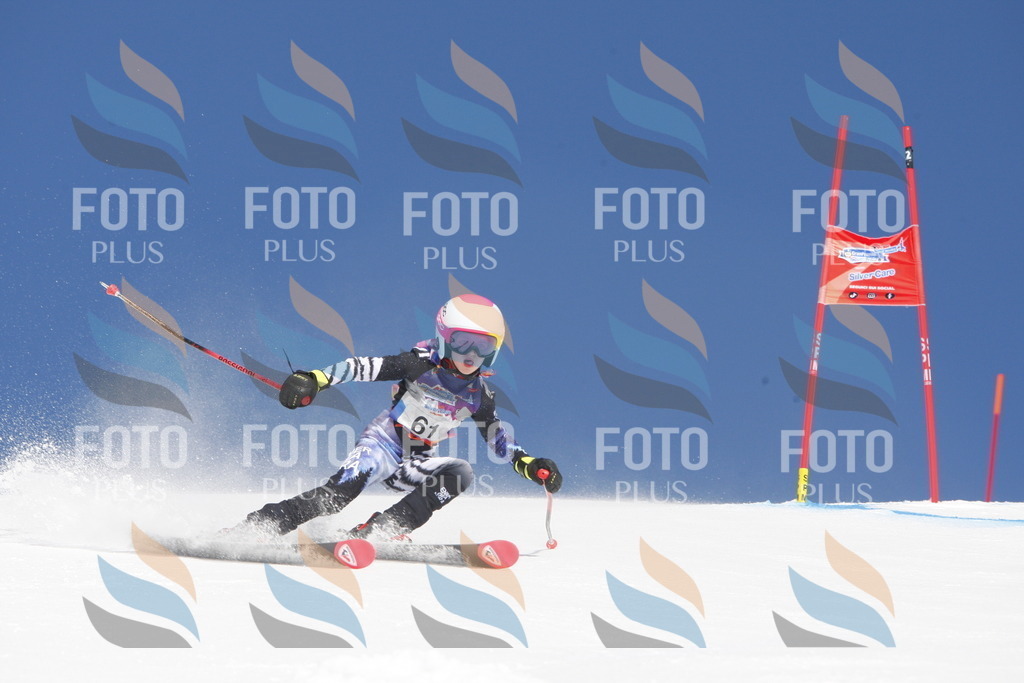 _W1G0898 | holidayphoto