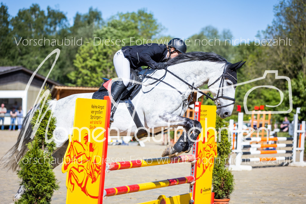 Donop24-A2Spr-059 | MomenTaufnahmen Pferdesportfotos