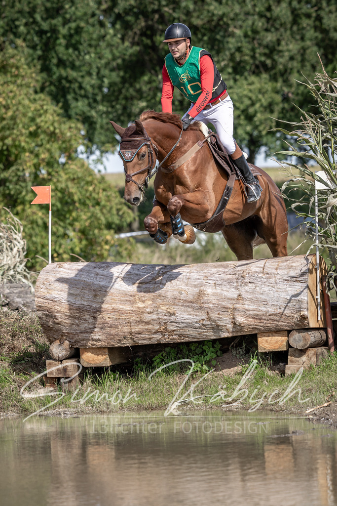 20250907-_3LI1283 | Tierfotografie Pferde, Hunde, Katzen, Haustiere.
Turnierfotografie Reitturniere, Reiten, Springreiten, Dressur in Hanau, dem Main-Kinzig-Kreis und dem Rhein-Main- Gebiet um Frankfurt