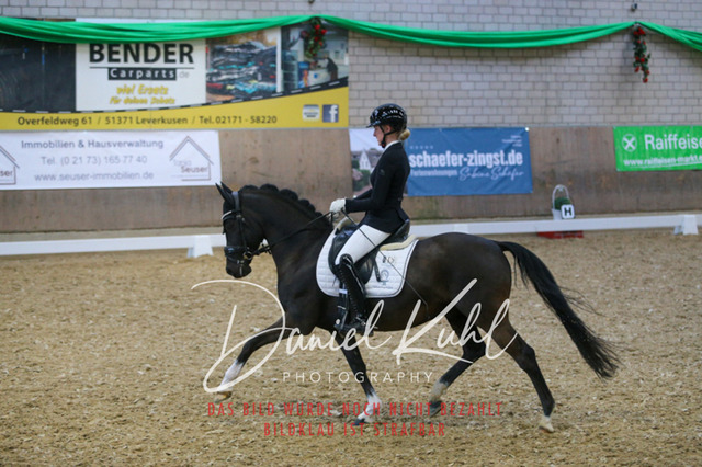 IMG_2800 | Turnierfotos kaufen im Webshop von Daniel Kuhl Photography – entdecke professionelle Reitsportfotos aus Turnieren & Events. Hochwertige Turnierbilder online bestellen & sichern. Jetzt Fotos von Reitsportturnieren kaufen!