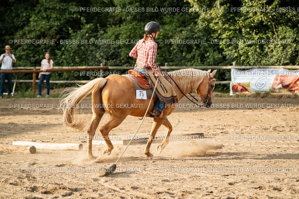 DSC06118 | Pferdegrafie