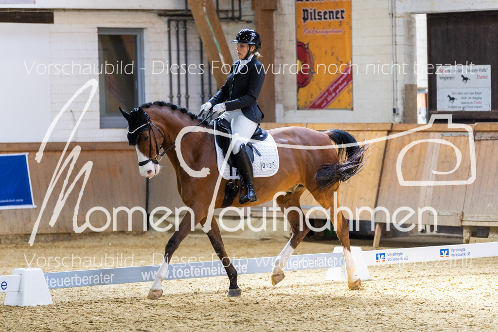 Sth-LPO25-DrR-L-206 | MomenTaufnahmen Pferdesportfotos