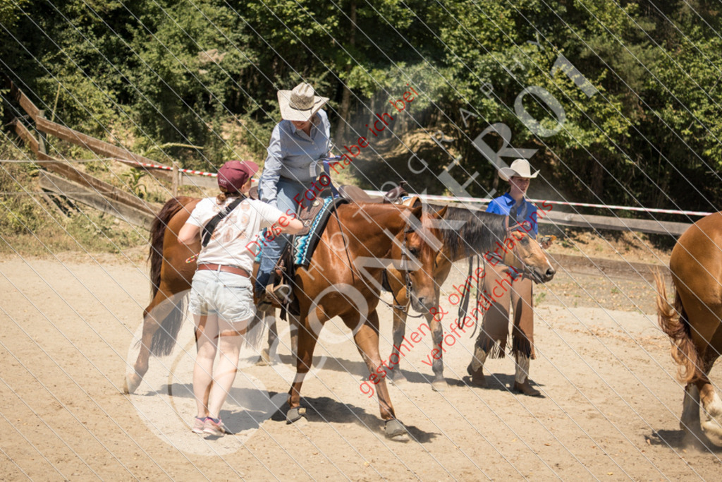 IMG_0639 | Sport-, Event- und Tierfotos in Profiqualität. Einfach auswählen, bestellen und herunterladen. Dein Moment – perfekt festgehalten.