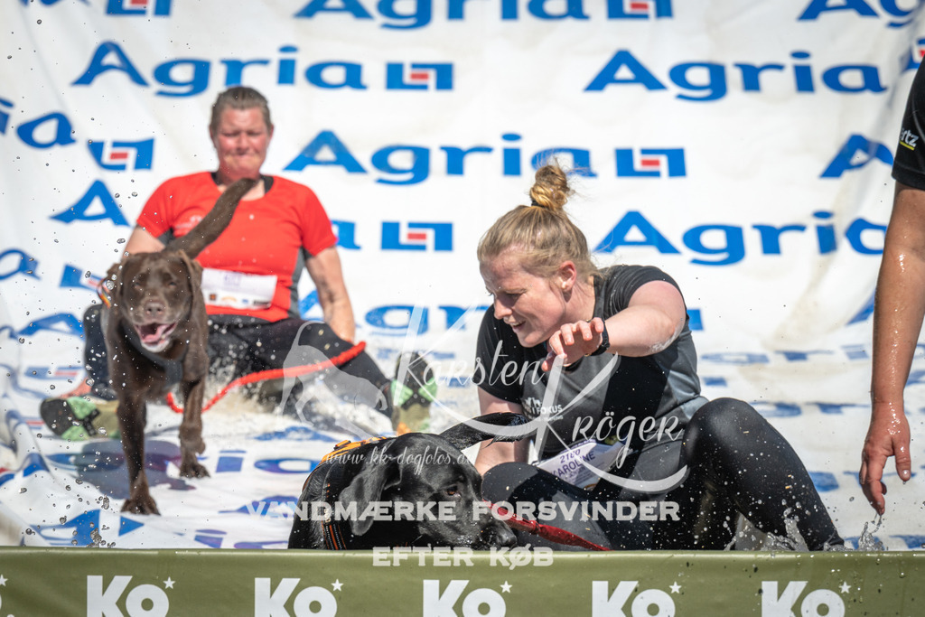 1414_ZZ93055 | kk-dogfotos