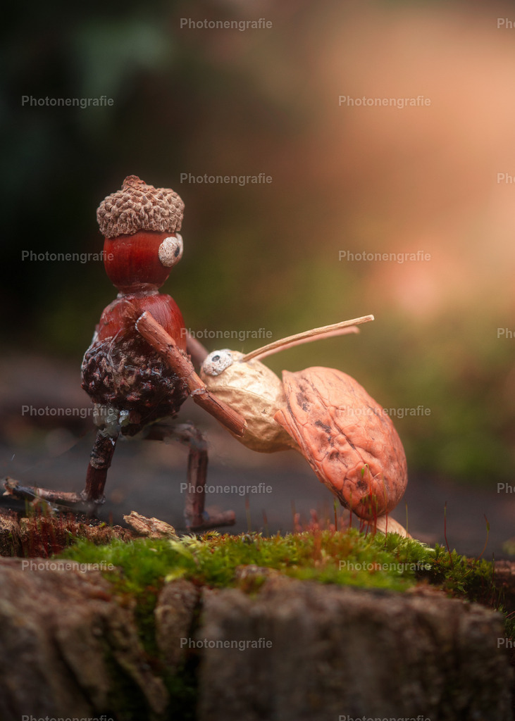 Das Wiedersehen | Photonengrafie´s Shop - Realisiert mit Pictrs.com