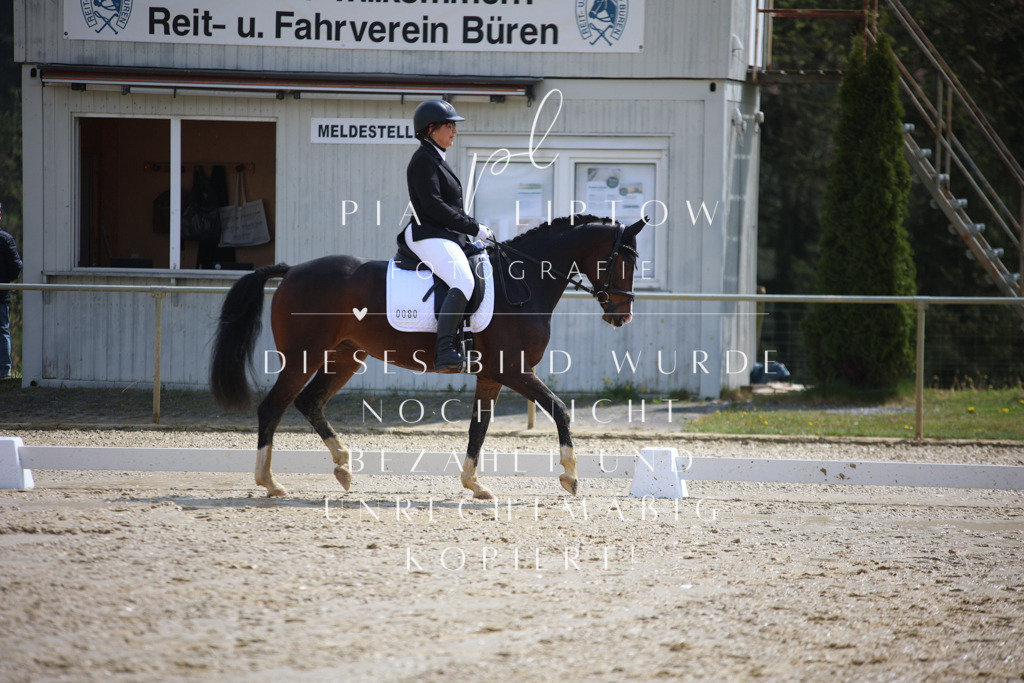 IMGT2394 | pl-fotografie