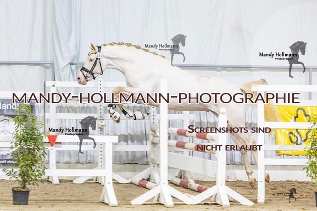 40 (17 von 51) | mandyhollmannphotographie