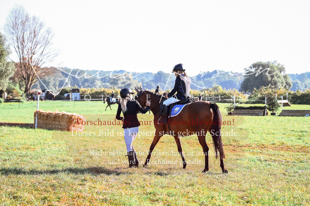 DSC_0208 | Pferde- und Turnierfotografie in Westsachsen. Pferdeportraits, Auftragszeichnungen und intuitive Kunst.