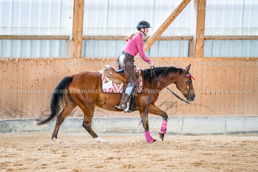 DSC09631 | Pferdegrafie