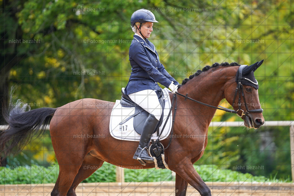 20221008-FAH01028 | Diessen am Ammersee, 2022, Dressur- und Springturnier, Reitsportbilder, Turnierfotografen Bayern, Pferdefotografen, Fotoagentur Herrmann, Turnierbilder