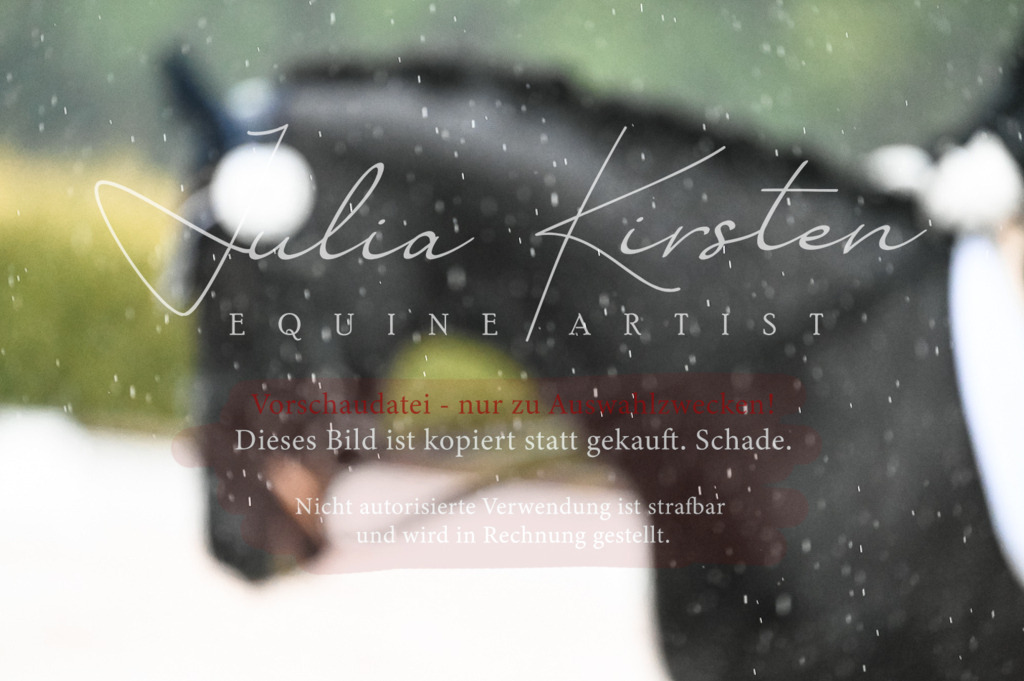 DSC_4760 | Pferde- und Turnierfotografie in Westsachsen. Pferdeportraits, Auftragszeichnungen und intuitive Kunst.