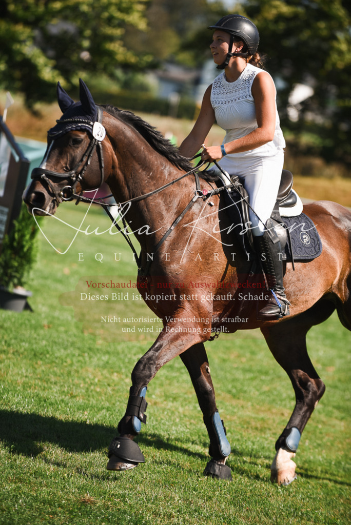 DSC_2873 | Pferde- und Turnierfotografie in Westsachsen. Pferdeportraits, Auftragszeichnungen und intuitive Kunst.